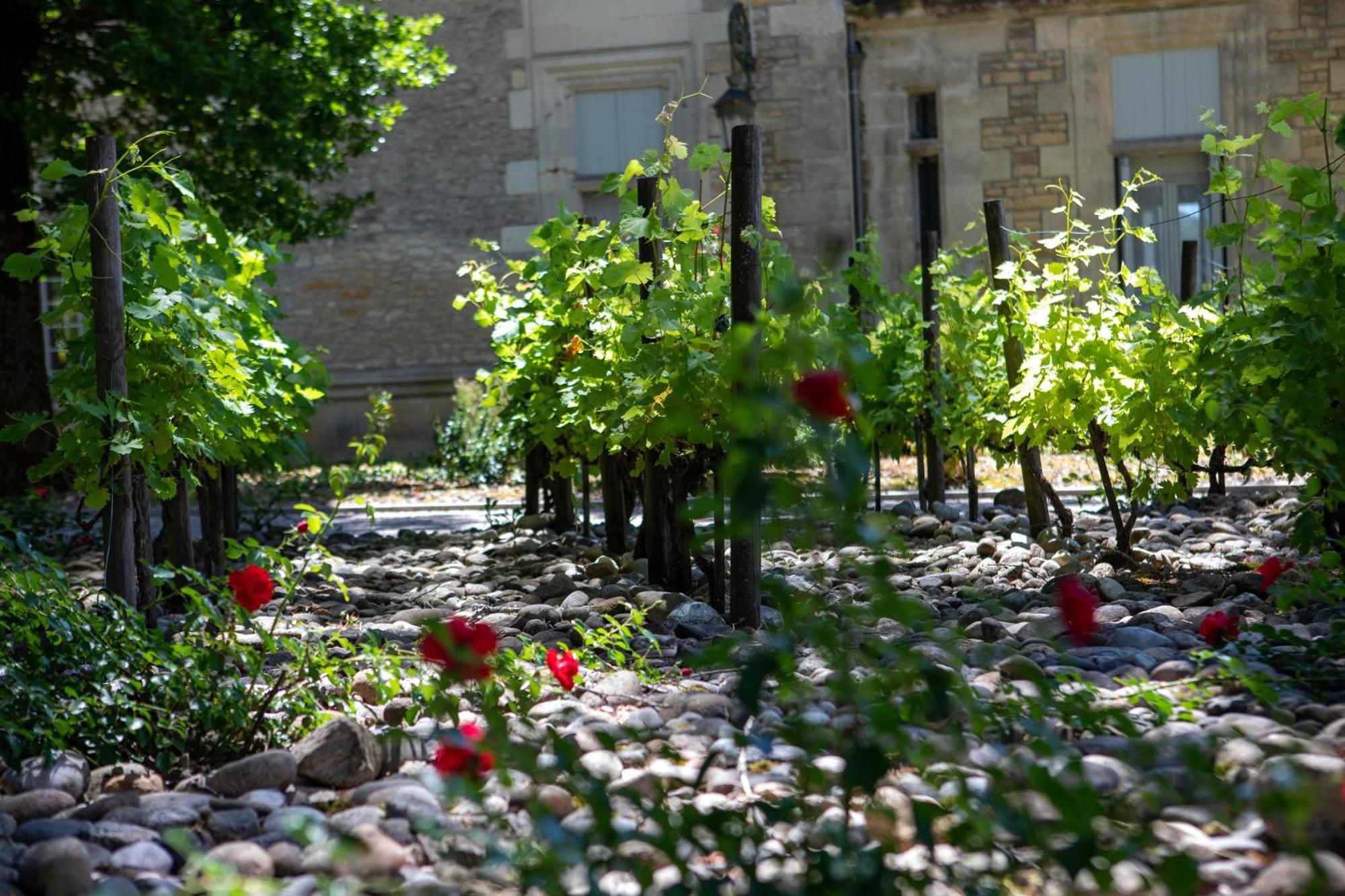 Domaine De Monrecour - Hotel & Restaurant - Proche De Sarlat Saint-Vincent-de-Cosse Eksteriør billede